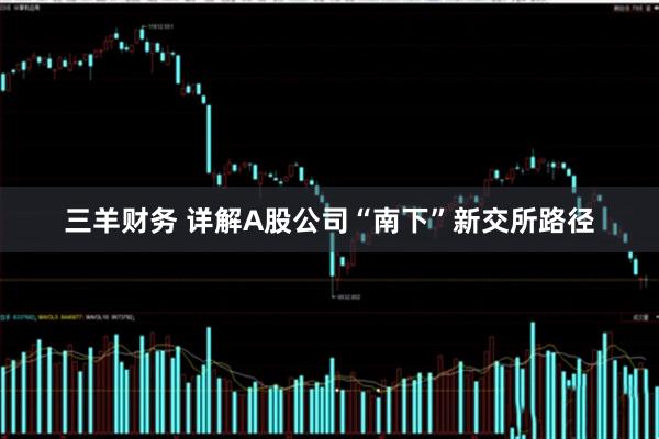 三羊财务 详解A股公司“南下”新交所路径