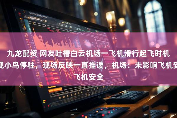 九龙配资 网友吐槽白云机场一飞机滑行起飞时机翼现小鸟停驻，现场反映一直推诿，机场：未影响飞机安全