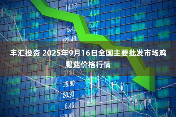 丰汇投资 2025年9月16日全国主要批发市场鸡腿菇价格行情