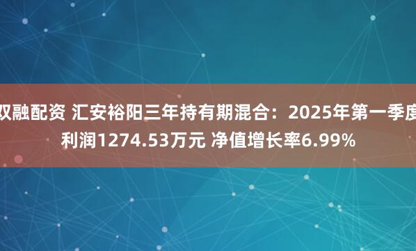 双融配资 汇安裕阳三年持有期混合：2025年第一季度利润1274.53万元 净值增长率6.99%