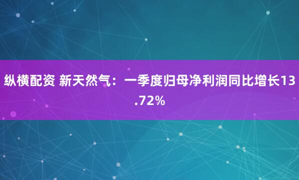 纵横配资 新天然气：一季度归母净利润同比增长13.72%