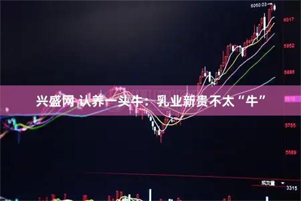 兴盛网 认养一头牛：乳业新贵不太“牛”