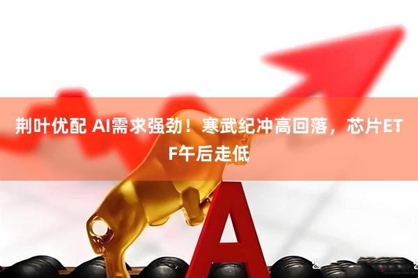 荆叶优配 AI需求强劲！寒武纪冲高回落，芯片ETF午后走低
