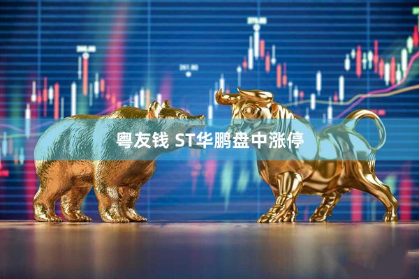 粤友钱 ST华鹏盘中涨停