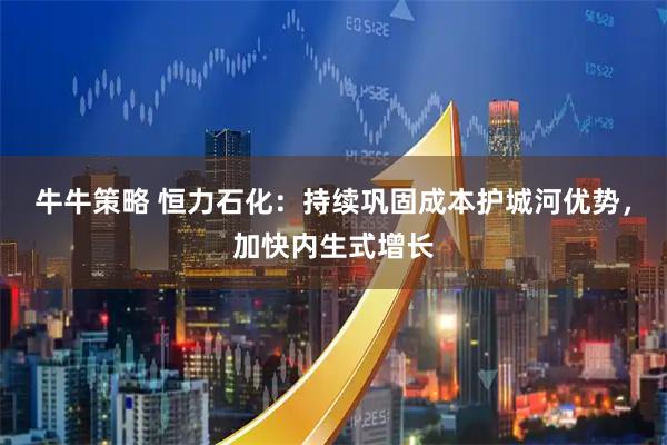 牛牛策略 恒力石化：持续巩固成本护城河优势，加快内生式增长