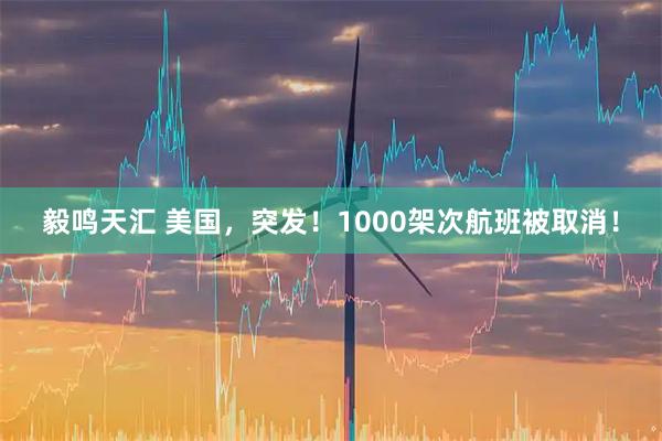 毅鸣天汇 美国，突发！1000架次航班被取消！