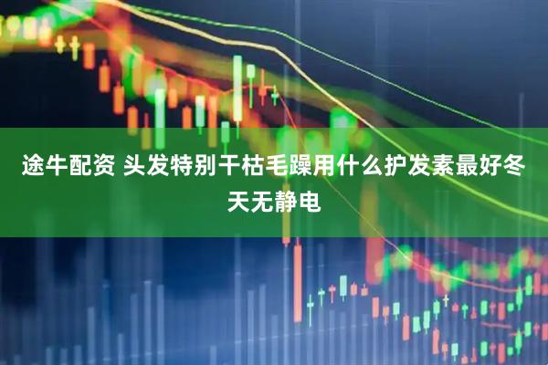 途牛配资 头发特别干枯毛躁用什么护发素最好冬天无静电